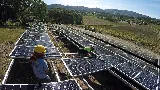 Westcoast Solar Energy photo 2