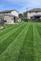 Canlon Landscaping photo 3