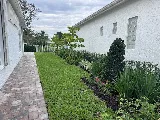 Root Wise LLC photo 7