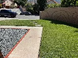 A&M landscaping photo 5