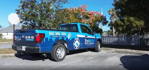 TruNorth Pest Control in Panama City