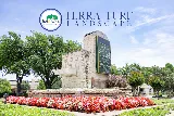 Terra Turf Landscape photo 8