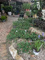 Delray Garden Center photo 3