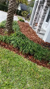 Jose & Jose Landscaping LLC photo 8