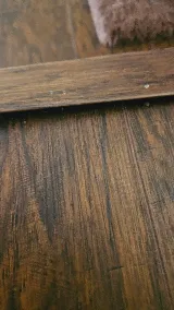 Lumber Liquidators photo 8