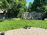 Armour Landscaping & Interlocking Richmond Hill photo 3