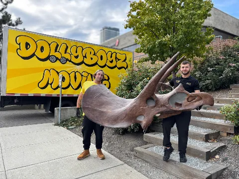 Dolly Boyz Moving in Kelowna