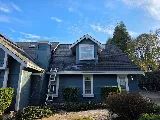 North West Fresh Roof photo 3