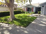 Silver Bear Landscaping photo 7