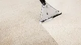 Delaware Rug Company