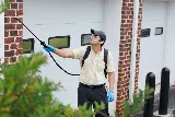 Dodson Pest Control