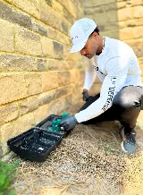 PureDefense Pest Solutions