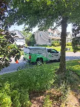 Greenix Pest Control photo 6