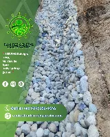 Ramirez general landscaping photo 6