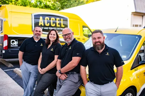 Accel Pest & Termite Control in Newport News