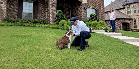 Moxie Pest Control photo 1