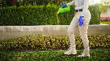 Greenix Pest Control photo 7