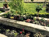 Sunset landscaping INC. photo 7