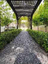 Green Bamboo Landscaping photo 3