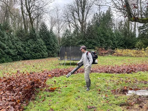 Taylor Made Landscaping photo 1