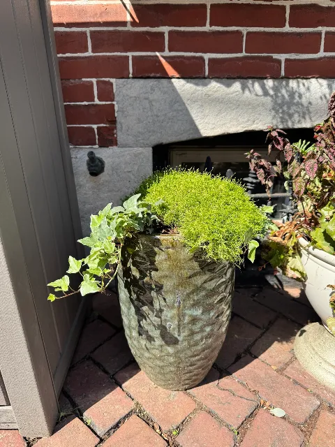 Potted Perfection, LLC. photo 1