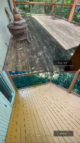 Painters Pro photo 7
