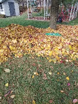 Verdant Landscape and Design Inc.