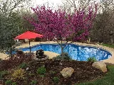 Fox Pools photo 4
