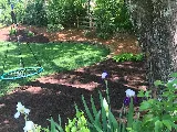 Chandler Landscaping LLC photo 4