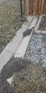 Xpeller Pest Solutions photo 4