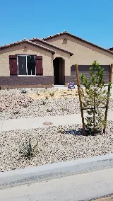 LGI Homes - Ocotilla Ranch photo 5
