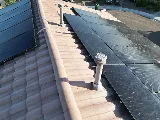 EcoGuard Pest Control photo 4