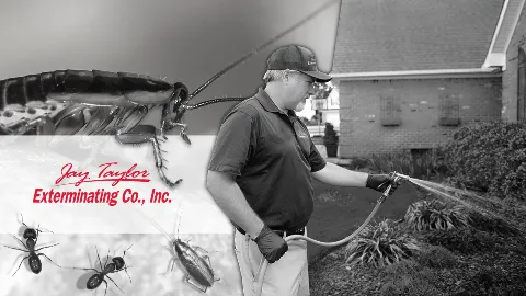 Jay Taylor Exterminating Co., Inc. in Wilmington