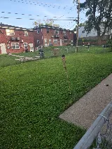 LawnStarter Landscaping photo 5