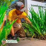 Augusta Lawn Care of East Springfield photo 5