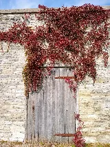 Westend Windows and Doors Ottawa photo 6