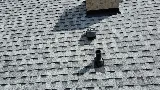 Canclad Roofing Edmonton photo 4