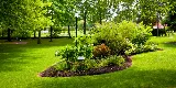 Agronomic Lawn Management photo 4