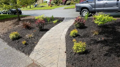 Lee's General Landscaping and Yard Clean Up photo 1
