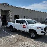 Orkin photo 6