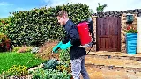 HomeShield Pest Control photo 8