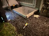 Witt Pest Management photo 5