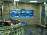 Stone Cold Masonry photo 5