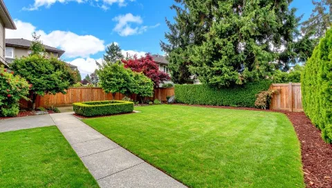 Peterson's Landscape & Maintenance Services photo 1