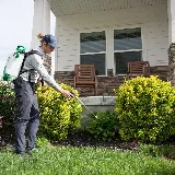 Atlas Pest Services