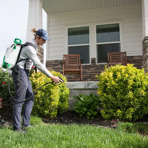 Atlas Pest Services in Lehi