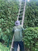Hernandez & Sons Landscaping LLC. photo 4