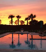 The Pool Guy of Louisiana photo 3