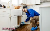 All-American Pest Control photo 5
