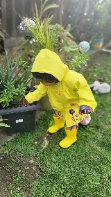 California Pest Control photo 4